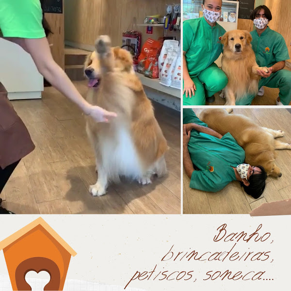 Foto 3 de Pet Villa Casa Forte