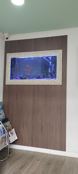 Foto 2 de PG Radiodonto Radiologia Odontologia Matriz