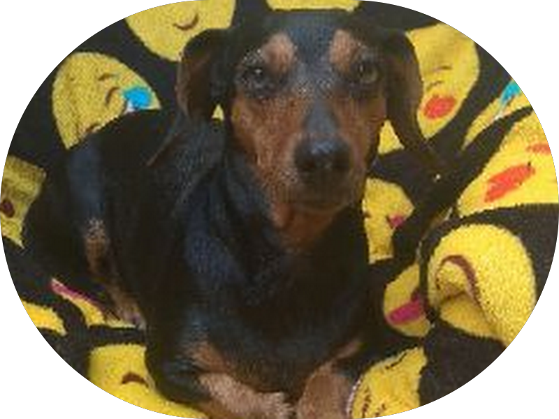 Foto 7 de Pienzo Clínica Odontológica Especializada