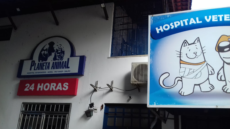 Foto 2 de Planeta Animal