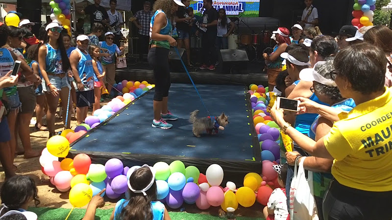 Foto 3 de Planeta Animal