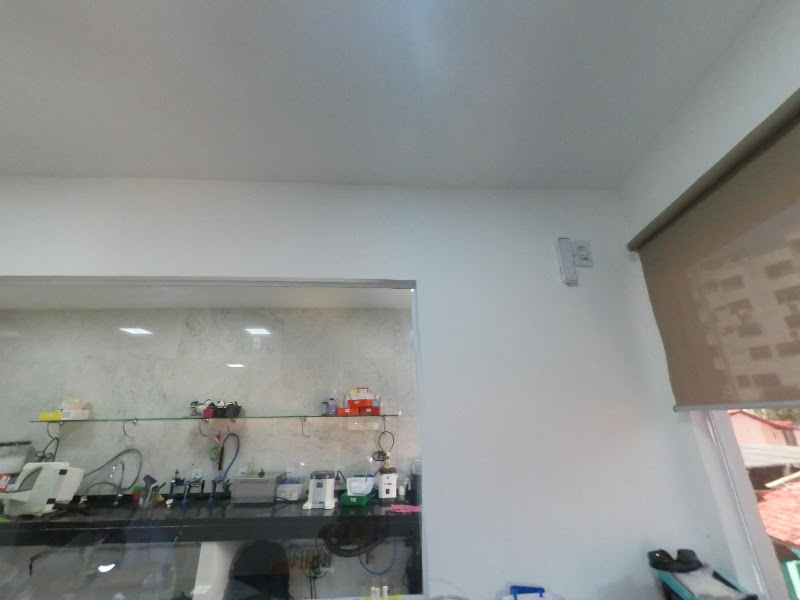 Foto 3 de Planeta Dente