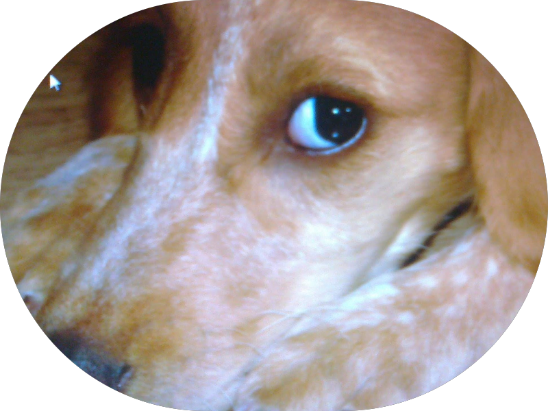 Foto 3 de Plantão 24h - Uniodonto