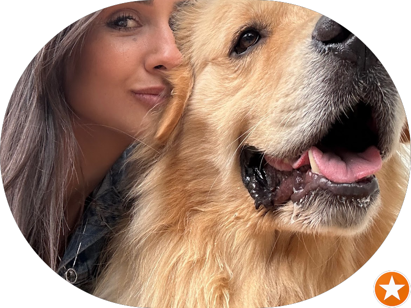 Foto 5 de Plenitá Odontologia e Saúde Integrada