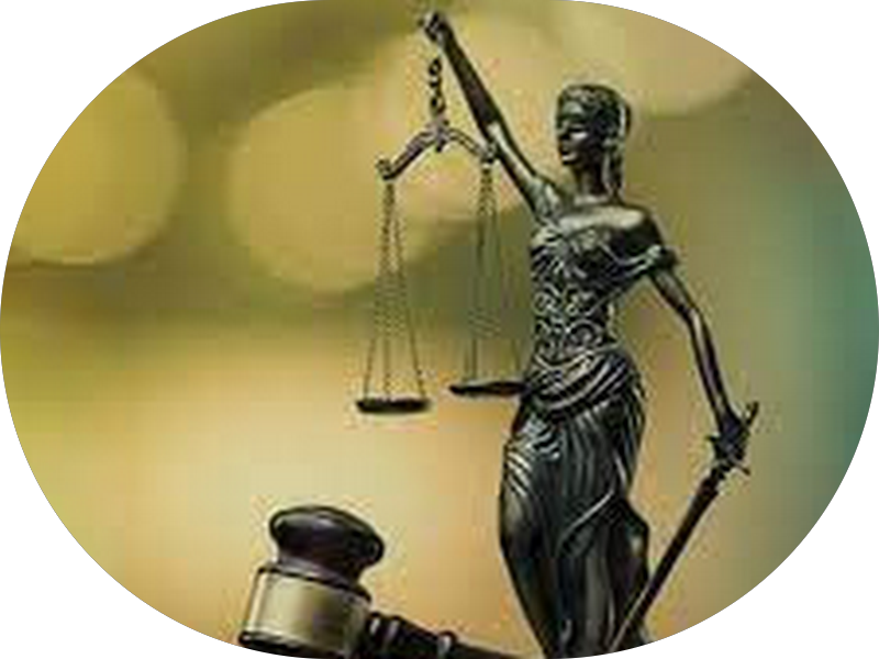 Foto 6 de Plenitutti