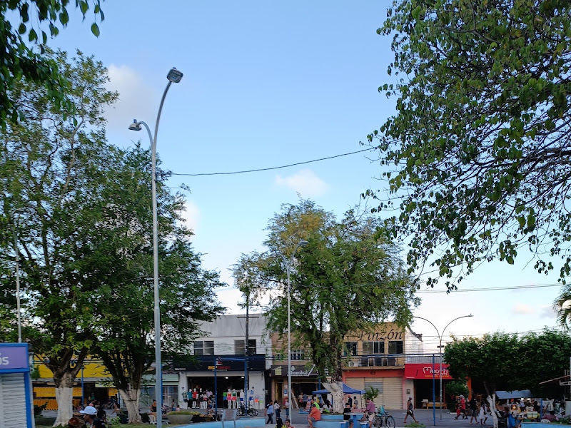 Foto de Ponte dos Carvalhos