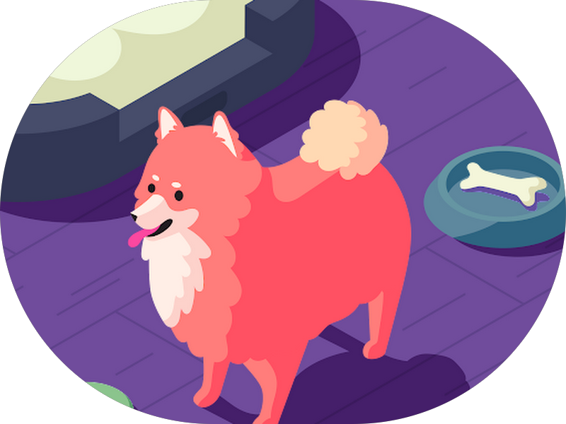 Foto 4 de ✅POPdents Fortaleza - Clínica 8