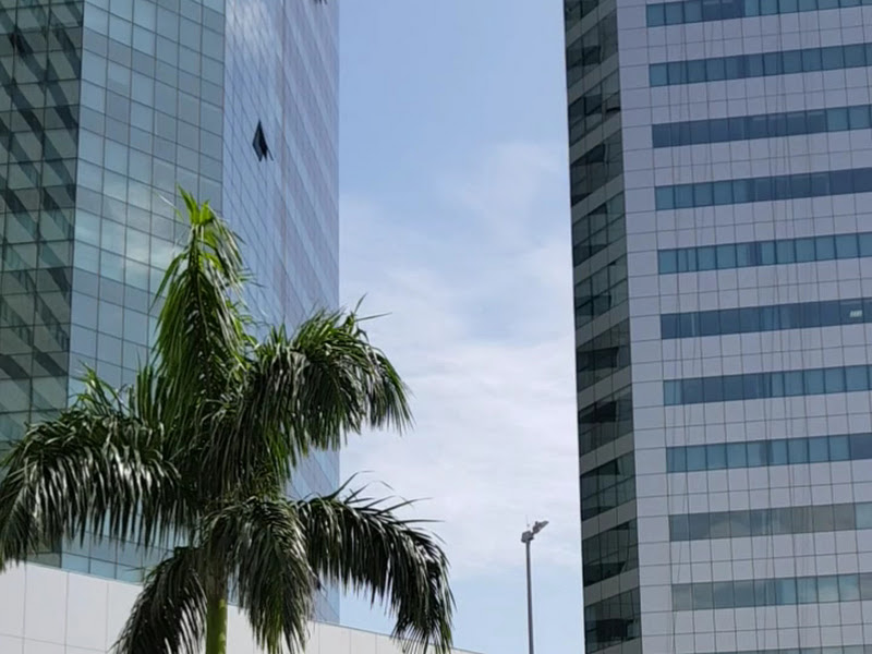 Foto 9 de Precision Odontologia