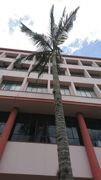 Foto 2 de Prédio 6 PUCRS