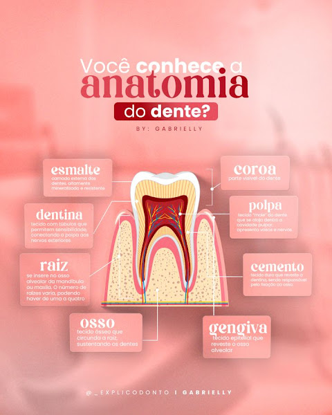 Foto 2 de Priê clinic