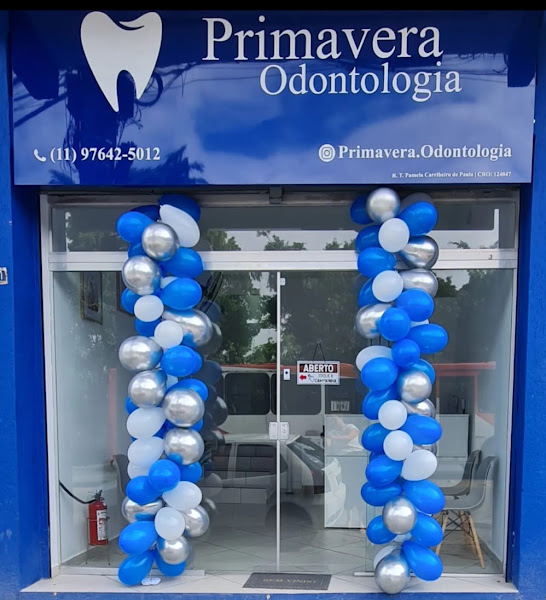 Foto 2 de Primavera Odontologia