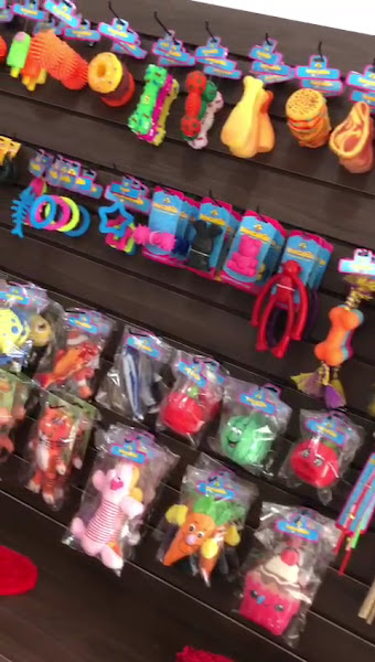 Foto 2 de Primer Dental