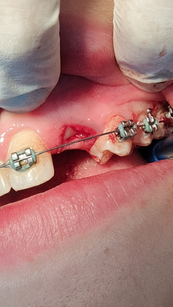 Foto 3 de Priscila B. Locatelli Odontologia