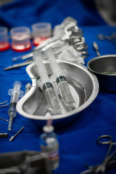 Foto 3 de Priscila Lins