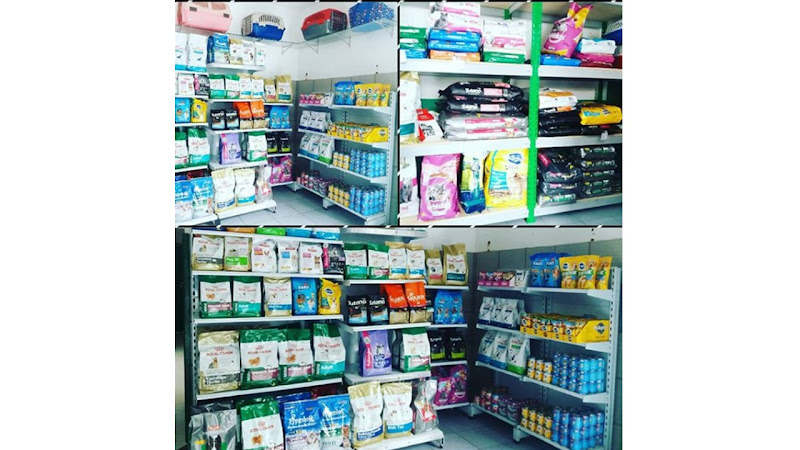 Foto 3 de Pró-Animais