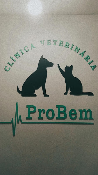 Foto 3 de ProBem Clínica