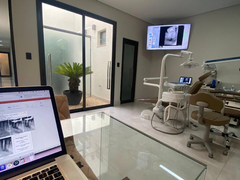 Foto de Profa Dra Renata Samuel - Endodontia Microscópica