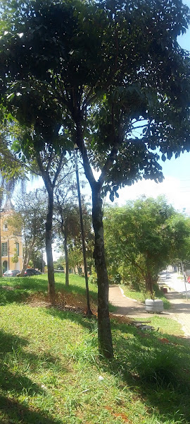 Foto 2 de Pronto Atendimento Municipal - P.A. Bonsucesso