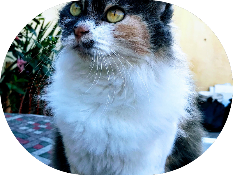 Foto 7 de Pronto Clínica Dentária | Dentista Centro de Porto Alegre