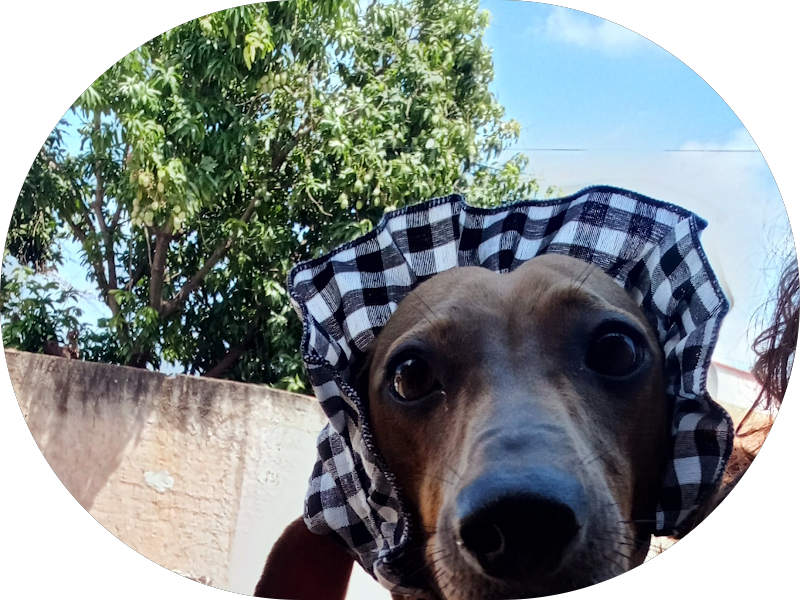 Foto 5 de Pronto Socorro em Odontologia 24h