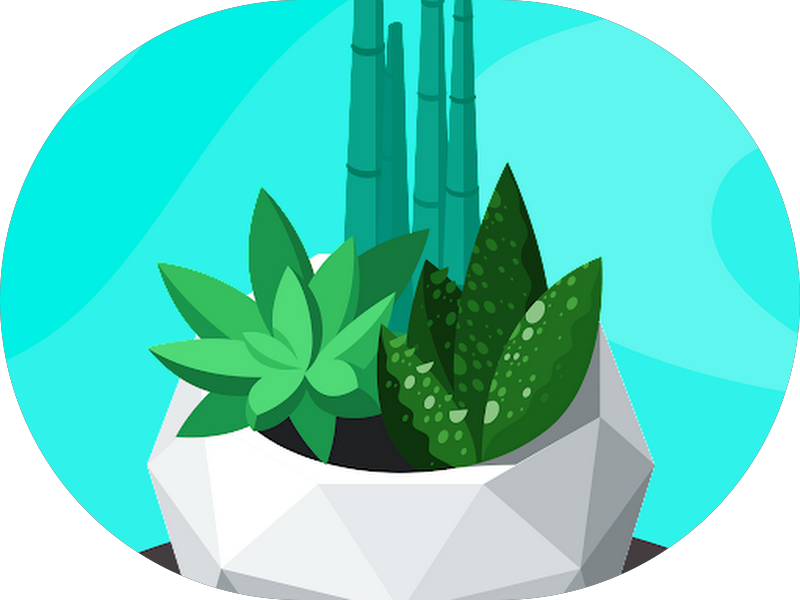 Foto 3 de Protecnica Lab Support - Assistência Técnica Autorizada Dentsply Sirona e VRC. Assistência em EDG, Ivoclar, VDW e Kota