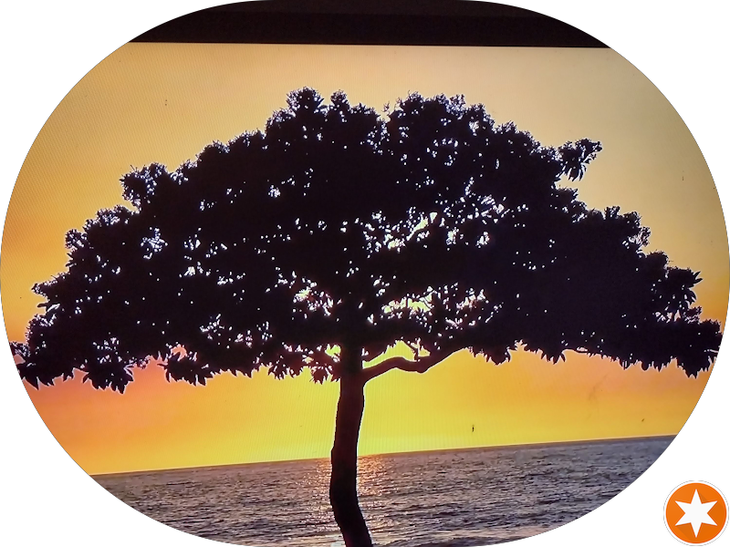 Foto de Prumos Curitiba - Cap Jardim social