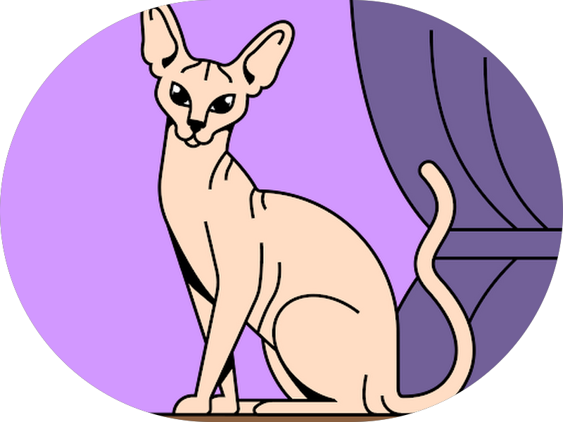 Foto 2 de PS Medicina do Trabalho e Serviços de Saúde