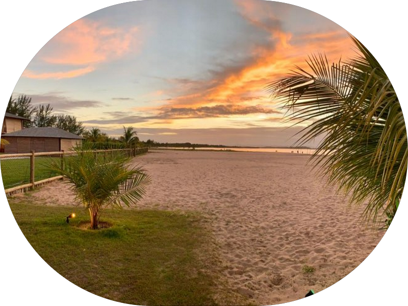 Foto 3 de Radi Radiologia Odontológica - Unidade Santana