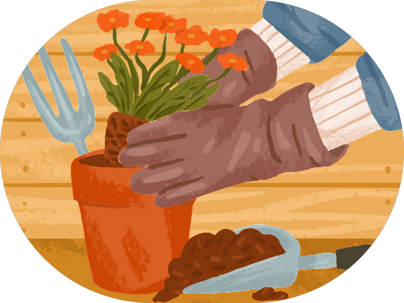 Foto 2 de Radio Face Radiologia Odontologica