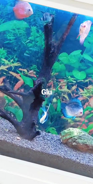 Foto 4 de Radiodoc Itaim Bibi