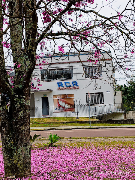 Foto 2 de RCR Odontologia