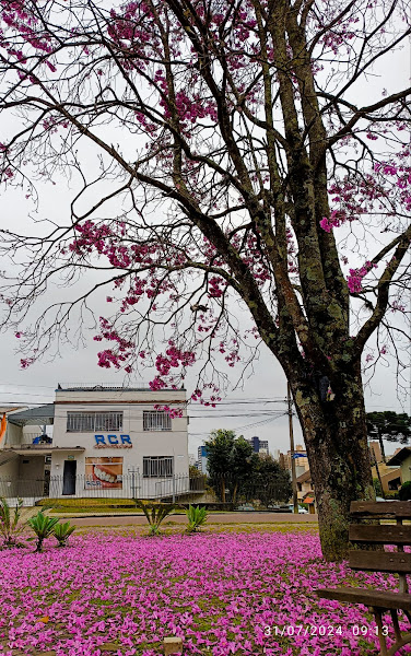 Foto 3 de RCR Odontologia