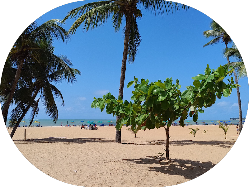 Foto 5 de Reabilitação Oral