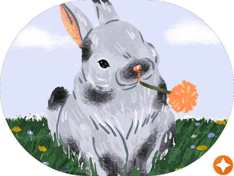 Foto 3 de Rede Star Drogarias