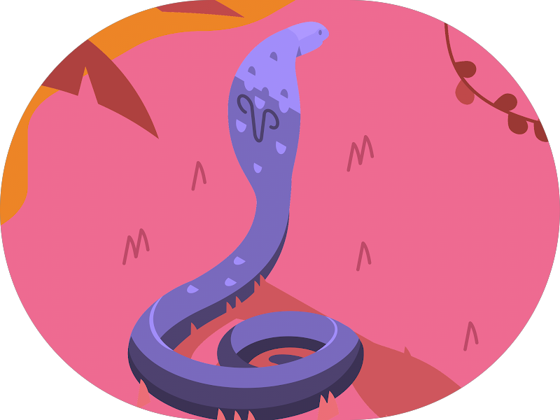 Foto 5 de REDEORTO Araraquara