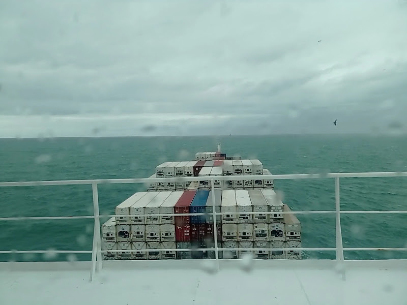 Foto 3 de REDEORTO Itajaí