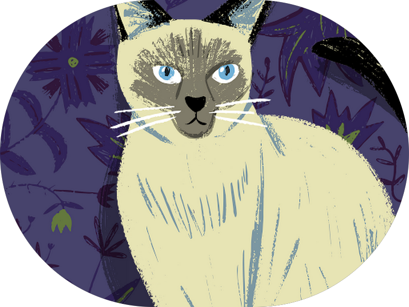 Foto 5 de Regenero Odontologia