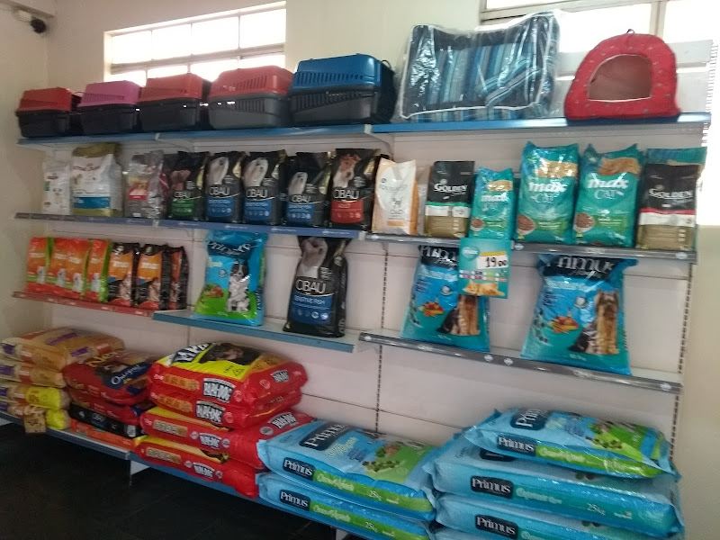 Foto 2 de Reino Animal