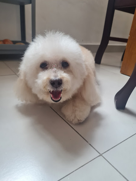 Foto 3 de Reino Animal