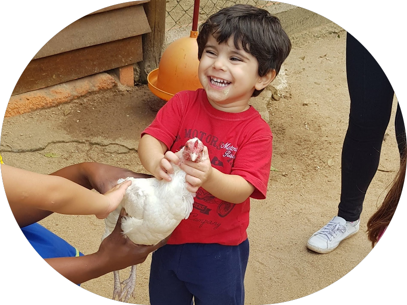 Foto 2 de Renata Cabral | Dentista