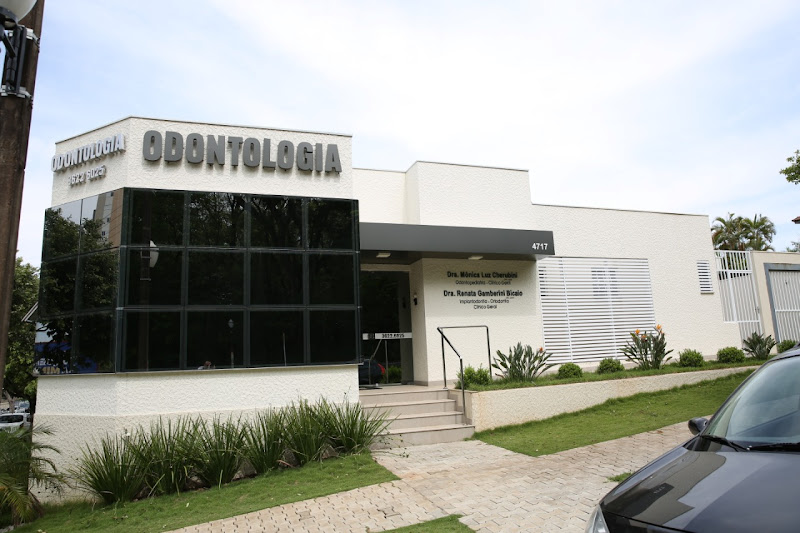 Foto 2 de Renata Gamberini Bicaio