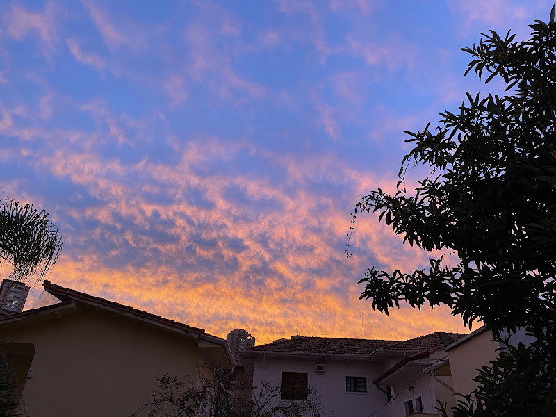 Foto 2 de Reprata Ambiental