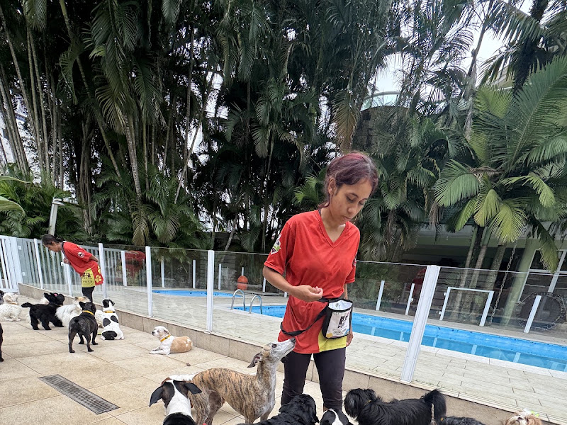 Foto de Resort Forte dos Pets
