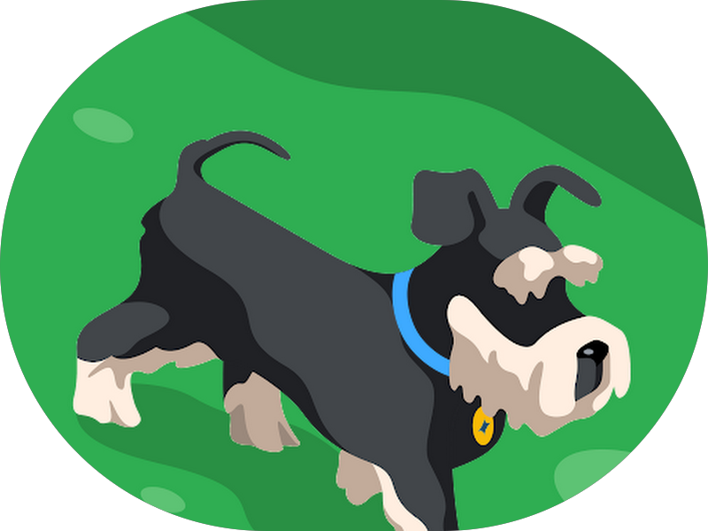 Foto de Restituo Vertebral