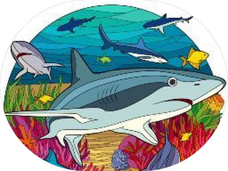 Foto 2 de Retratti Odontologia