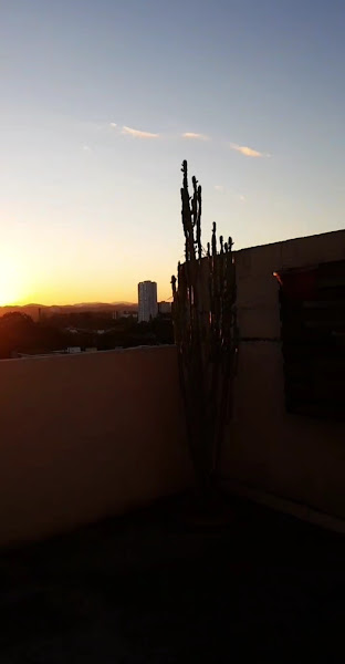 Foto 3 de Revitalize Studio Pilates Clássico