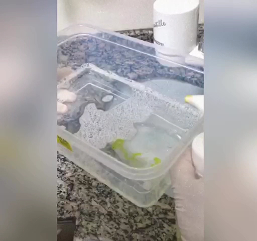 Foto 4 de RGB Odontologia