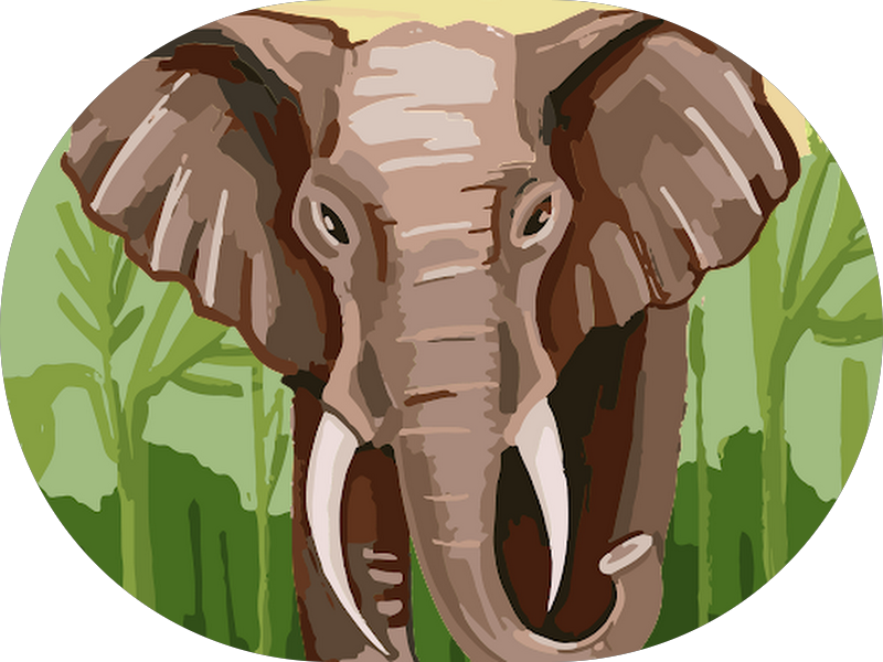 Foto 5 de Rigor Odonto