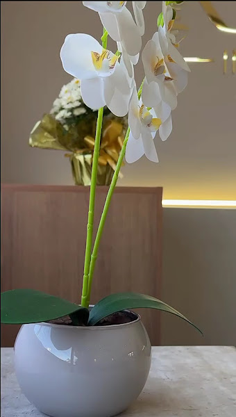 Foto 3 de Rizzo Implantes Odontologia - Dentista Praia Grande