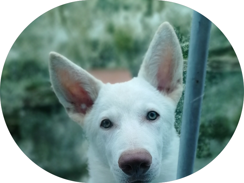 Foto 3 de Salutti Diagnóstico e Tratamentos Gruta